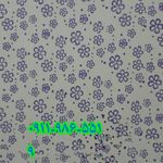 نقاشی ساختمان شهرام