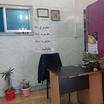 سیب زمینی تنوری آرمیا