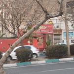 فلفل قرمز