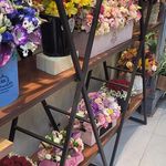 سوپر‌ گل رز