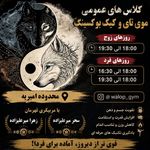 آکادمی ورزشی خواهران میرعلیزاده