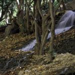 آبشار یاسوج