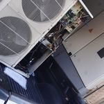 امیر حکمتی بایندری