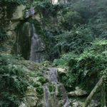 آبشار چلم زرین گل