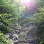 آبشار چلم زرین گل