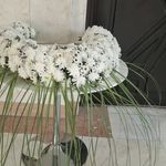 گل فروشی مالکی(سفارش انلاین و حضوری)