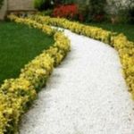 رضا نودهانی