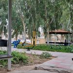 بوستان گلنار