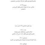 پیتزا کایزن