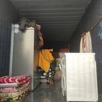 سید میلاد شفیعی