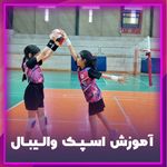 کانون والیبال همتا ( ویژه بانوان)
