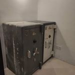 سید میلاد شفیعی