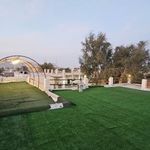 بومگردی چیرا