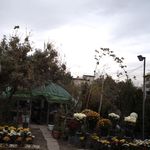 گلخانه