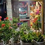 گل فروشی عروس