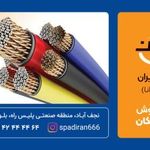 برق صنعتی اسپادانا