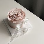 کیک و دسر خانگی لوین کیک