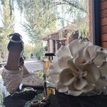 استودیو عکاسی و فیلمبرداری رویال