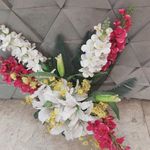 جان اسنک شعبه پروین 15