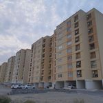 کوی پلیس