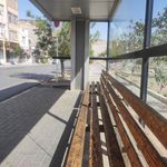 سوپر مواد غذایی نخل