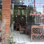 آبگوشت کرمانی
