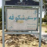 نعمت آباد