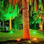 بوستان زنده یاد دامادی