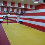 باشگاه بدنسازی پاک