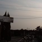 کارواش حامی