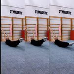 باشگاه ژیمناستیک فرهنگسرا بهمن(ایگِل)