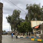بازار ماهی فروشی گورزانگ