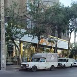 فرش پارمیس