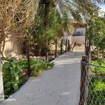 خانه مردم شناسی بومیان کیش