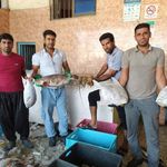 بازار ماهی فروشی گورزانگ