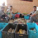بازار ماهی فروشی گورزانگ