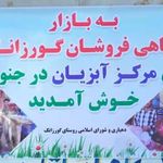 بازار ماهی فروشی گورزانگ