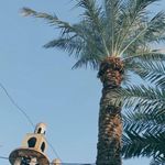 حسینیه ابولفضل العباس