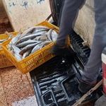 بازار ماهی فروشی گورزانگ