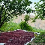 اقامتگاه بومگردی در روستای هیر