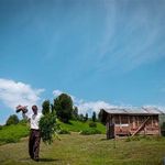 ییلاق اولسبلنگاه