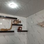 کافه ایتالیا