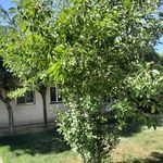 نمایندگی سایپا خودرو عظیمی