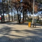 پارک بانوان