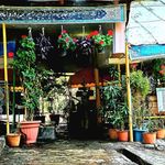 رستوران رست