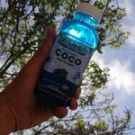 پخش مواد غذایی شیرخان