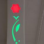 محمدعلی شفیعی ثانی