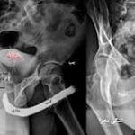 کلینیک ارولوژی رادمان