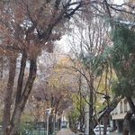 بوستان همافر