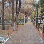 بوستان همافر